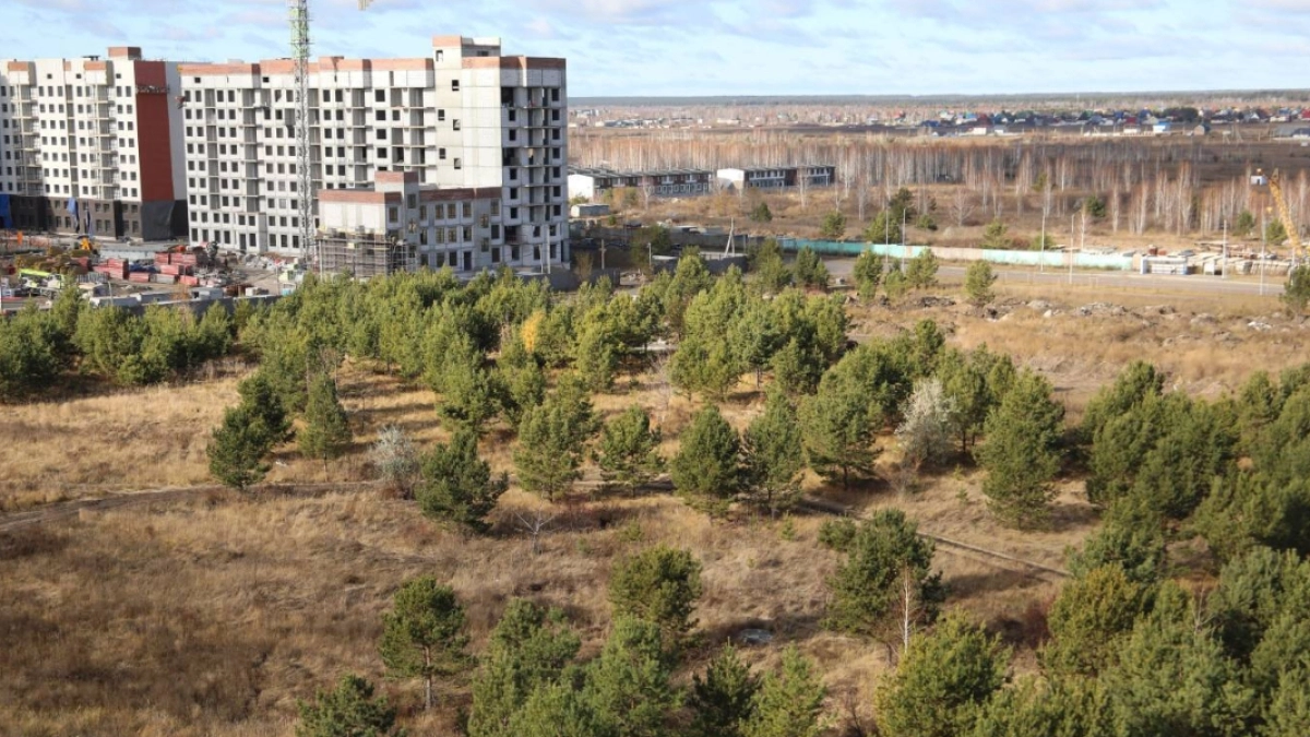 В 12-м микрорайоне Заозерном площадь нового парка составит 2,5 гектара