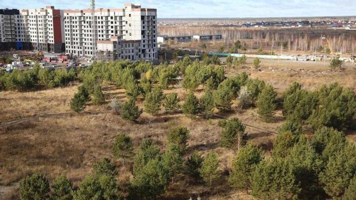 В Кургане в 12-м микрорайоне Заозерного обустроят новый парк площадью 2,5 гектара