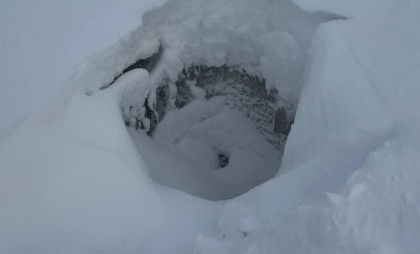 Прогулка с собакой обернулась травмой: в Кургане женщина провалилась в люк