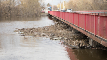 В Кургане уровень воды в Тоболе снизился на сантиметр за сутки