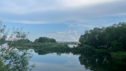 В курганские водоёмы выпустили более 90 млн мальков