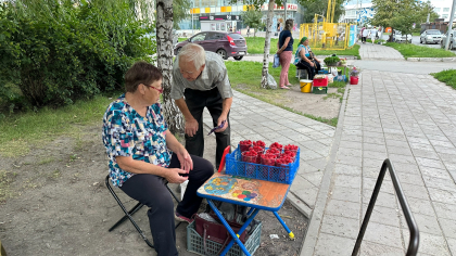 Как вернуть утерянные годы стажа и поднять пенсию: инструкция для курганцев